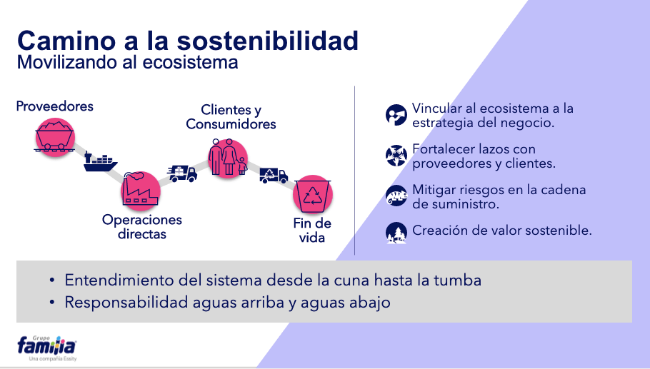 pantallazo 11 estrategias de sostenibilidad familia institucional - Familia Institucional